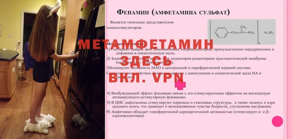 гидра Новозыбков