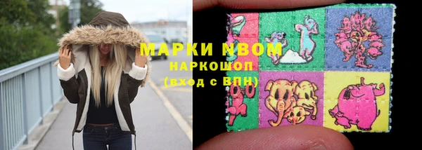 гидра Новозыбков